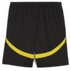 PACK BORUSSIA DORTMUND EXTERIEUR 2024-2025